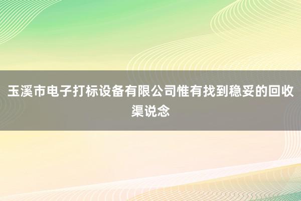 玉溪市电子打标设备有限公司惟有找到稳妥的回收渠说念